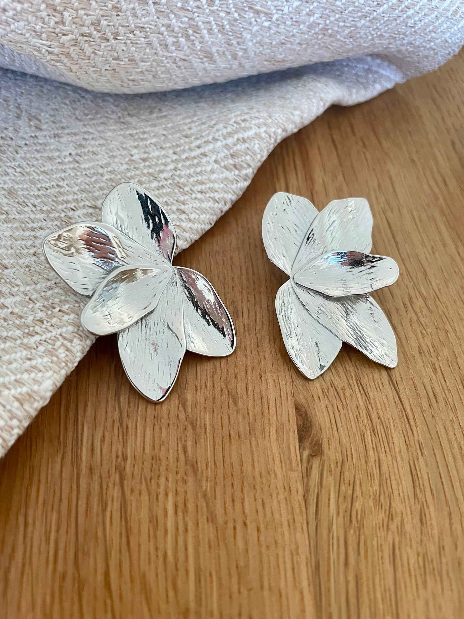 Boucles d'oreilles Elodie - argenté